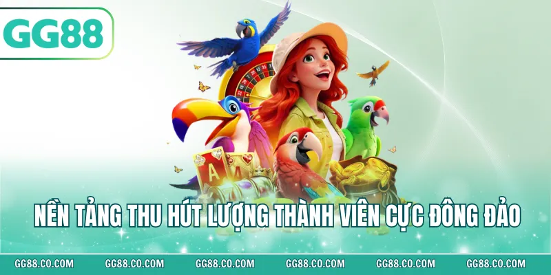 Nền tảng thu hút lượng thành viên cực đông đảo
